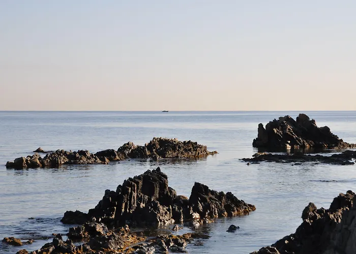 Grand Du Golfe - & Restaurant