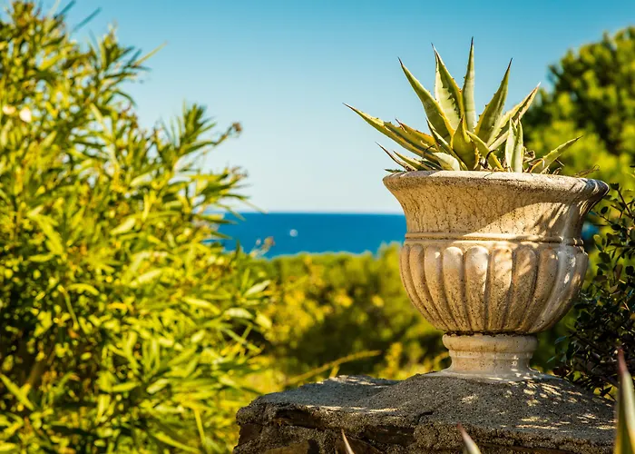 Grand Du Golfe - & Restaurant 4* 科利尤尔