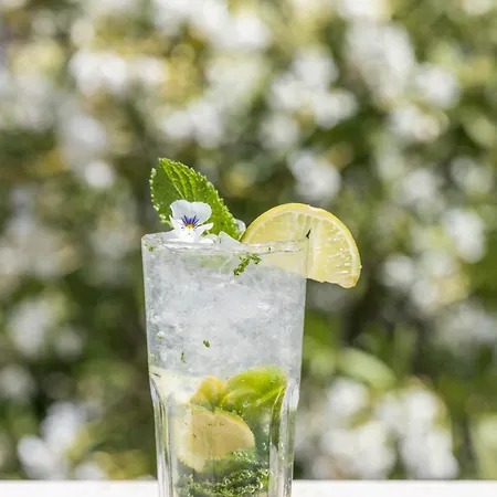 Hotel Grand Du Golfe - & Restaurant 4*