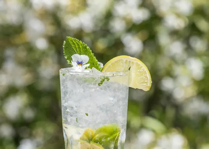 Hotel Grand Du Golfe - & Restaurant 4*