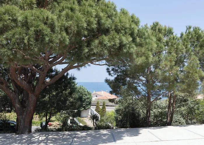 Hotel Grand Du Golfe - & Restaurant Collioure